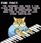 FUN FAICT:  THE INTERNET WAS ONCE A FUN PLACE FOR WATCHING CAT VIDEOS INSTEAD OF MONITORING THE REAL-TIME COLLAPSE. OF LATE- STAGE CAPITALISM  Image of a cat playing piano.