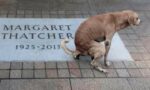 A dog taking a dump on Margaret Thatchers memorial stone or something.