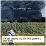 Photo of a man raking lawn. In the background there is a field and some trees and huge black smoke clouds from forest fires. Text on the smoke clouds: The world right now Text at the bottom: me still tending my silly little garden to stay sane