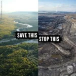 Left: A photo of a lush forest and text: Save this. Right: A photo of a mining area with no plants in sight an text: Stop this.