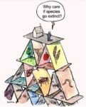 Cartoon: Man standing on top of a house of cards and saying: "Why care if species go extinct?"