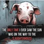 Drawing of a sad looking pig. Text: The only time I ever saw the sun was on the way to the slaughterhouse