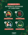 4 ways to introduce veganism at Christmas poster with 4 circles with images in each one:   1. Bring a vegan share plate  2. Gift a vegan recipe book  3. Start a conversation  4. Attend a vegan event   Vegan Australia logo at bottom. Green background with mistletoe on two corners.