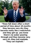 President Donald Trump: "Trees fall down after a short period of time about 18 months they become very dry they become really like a matchstick and they get up. you know there's no water pouring through and they become very very uh..they just explode. They can explode."