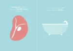 The image is a minimalist infographic split into two halves. On the left, against a pale blue background, is a stylized pink cut of beef with the text "1 kilogram of beef requires 15,000 liters of water." On the right, there is an illustration of a white bathtub also against a pale blue background, with the text "That's enough for 250 long relaxing baths." The graphic conveys the large amount of water required to produce a relatively small amount of beef compared to water usage for bathing.