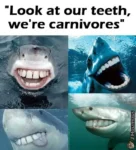 A collage of photos of sharks edited so they have human-like teeth and mouth.