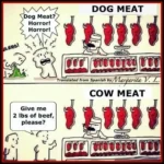 The image is a two-panel comic strip. In the top panel, labeled "DOG MEAT," a person is shown looking shocked and disgusted, saying "Dog Meat? Horror! Horror!" while a vendor stands behind a meat counter with meat cuts hanging above and displayed in the case. The panel indicates the comic is "Translated from Spanish by Margarita V. L."  In the bottom panel, labeled "COW MEAT," the same person cheerfully asks the vendor, "Give me 2 lbs of beef, please?" The vendor is in a similar setting with meat cuts hanging and displayed in the counter.  The comic highlights the contrasting attitudes toward consuming different animals.